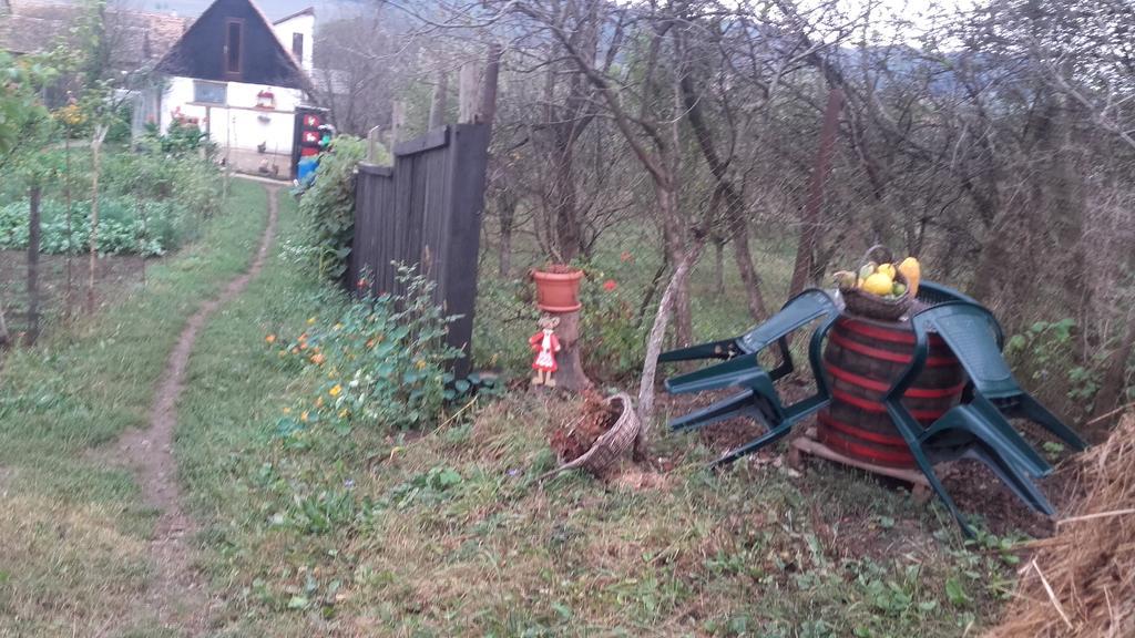 Legenda Anotimpurilor Villa Küküllőalmás Kültér fotó
