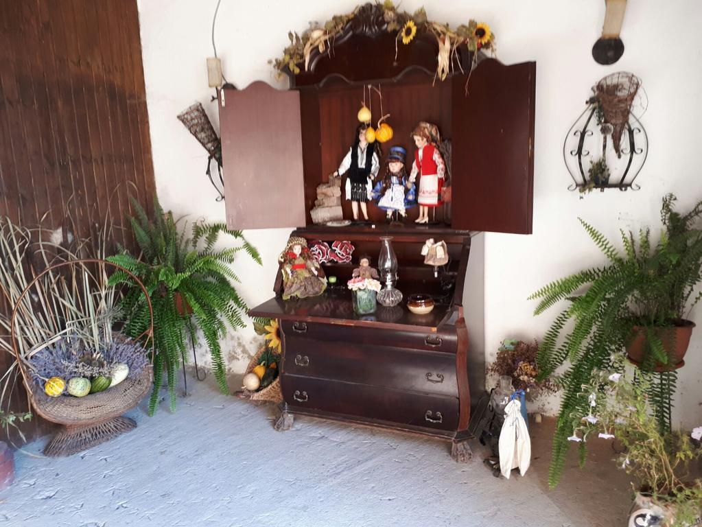 Legenda Anotimpurilor Villa Küküllőalmás Kültér fotó